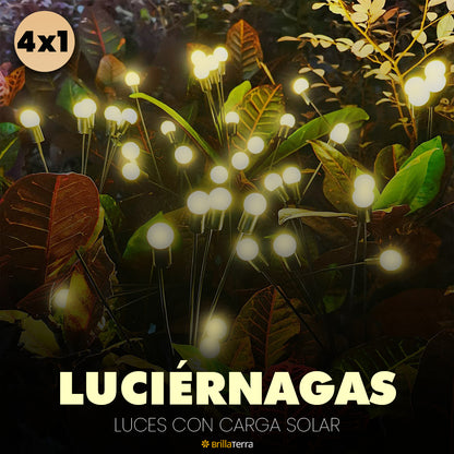 Luz Solar Efecto Luciérnaga