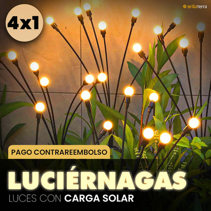 Luz Solar Efecto Luciérnaga